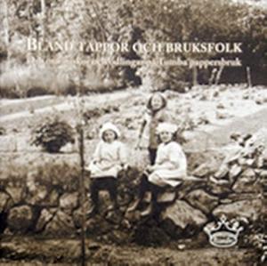 Omslagsbild för Bland täppor och bruksfolk