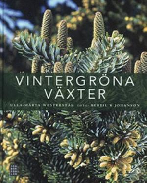 Omslagsbild för Vintergröna växter