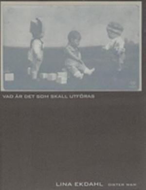 Omslagsbild för Vad är det som skall utföras