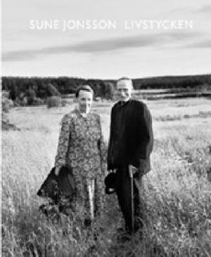 Omslagsbild för Livstycken