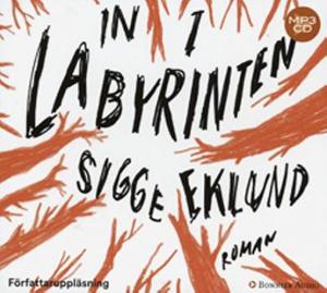Omslagsbild för In i labyrinten