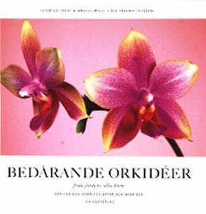 Omslagsbild för Bedårande orkidéer