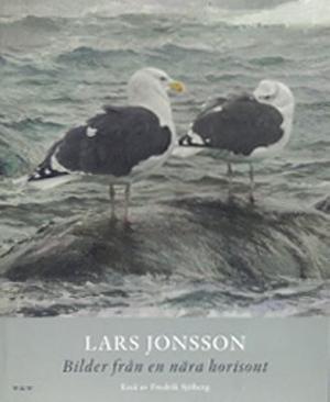 Omslagsbild för Bilder från en nära horisont