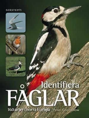 Omslagsbild för Identifiera fåglar