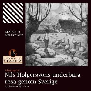 Omslagsbild för Nils Holgerssons underbara resa genom Sverige