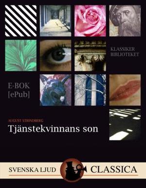 Omslagsbild för Tjänstekvinnans son