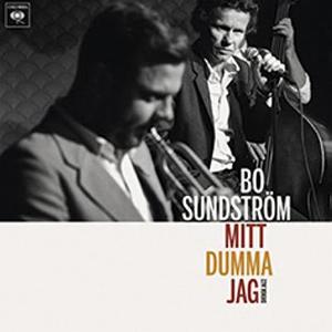 Omslagsbild för Mitt dumma jag