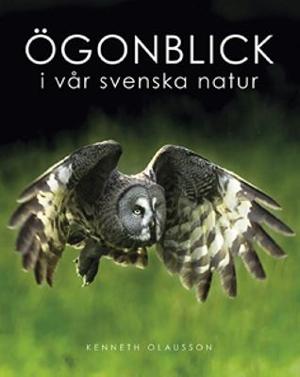 Omslagsbild för Ögonblick i vår svenska natur