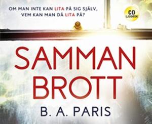 Omslagsbild för Sammanbrott