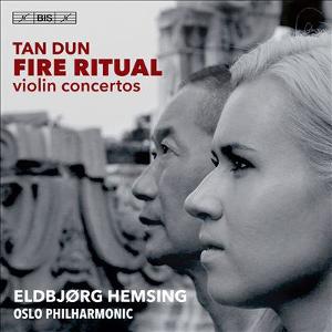 Omslagsbild för Fire ritual