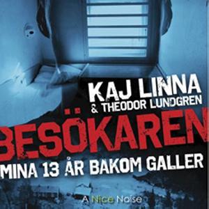 Omslagsbild för Besökaren