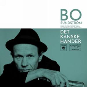 Omslagsbild för Det kanske händer