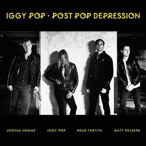 Omslagsbild för Post pop depression