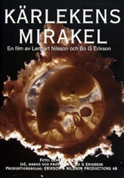 Omslagsbild för Kärlekens mirakel
