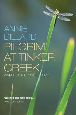 Omslagsbild för Pilgrim at Tinker Creek