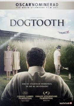 Omslagsbild för Kinodhondas