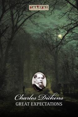 Omslagsbild för Great expectations