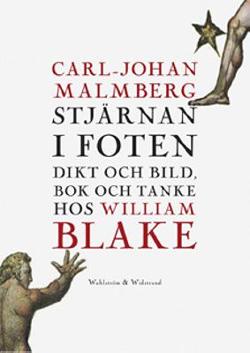 Omslagsbild för Stjärnan i foten