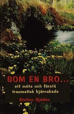Omslagsbild för Som en bro-