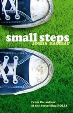 Omslagsbild för Small steps