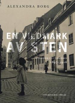 Omslagsbild för En vildmark av sten