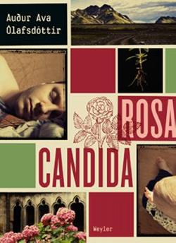 Omslagsbild för Rosa candida