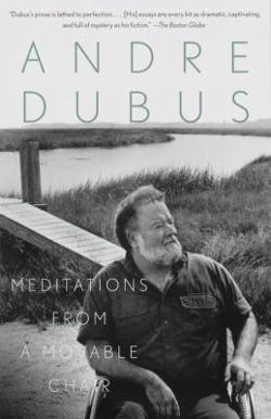 Omslagsbild för Meditations from a movable chair