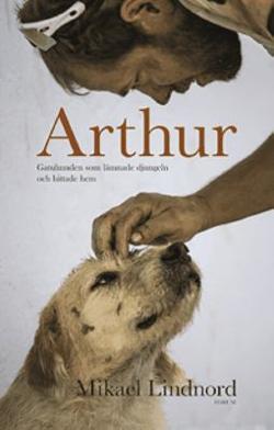 Omslagsbild för Arthur