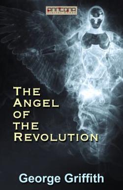 Omslagsbild för The angel of the revolution
