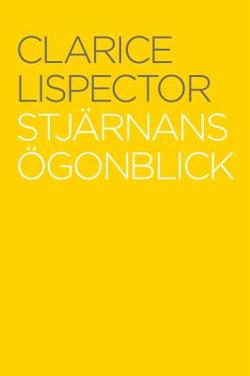 Omslagsbild för Stjärnans ögonblick