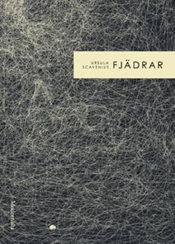 Omslagsbild för Fjädrar