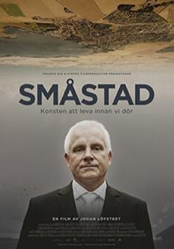 Omslagsbild för Småstad