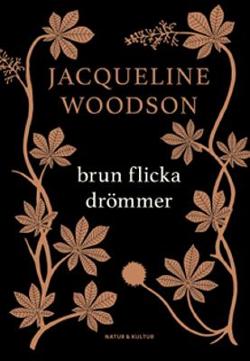 Omslagsbild för Brun flicka drömmer