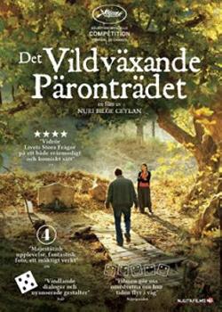 Omslagsbild för Ahlat agaci