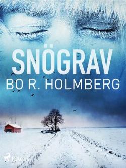 Omslagsbild för Snögrav