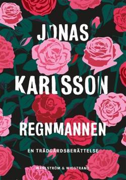 Omslagsbild för Regnmannen