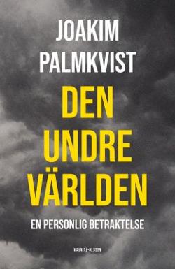 Omslagsbild för Den undre världen