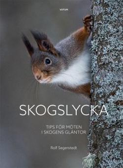 Omslagsbild för Skogslycka