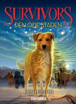 Omslagsbild för Den öde staden