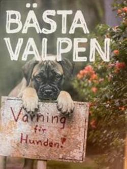 Omslagsbild för Bästa valpen