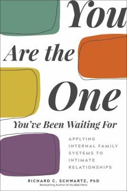 Omslagsbild för You are the one you've been waiting for