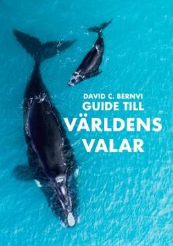 Omslagsbild för Guide till världens valar