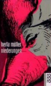 Omslagsbild för Niederungen