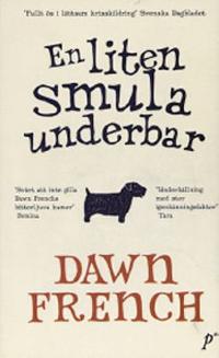 Omslagsbild för En liten smula underbar