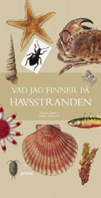 Omslagsbild för Vad jag finner på havsstranden