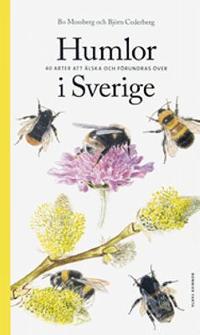 Omslagsbild för Humlor i Sverige