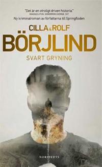 Omslagsbild för Svart gryning