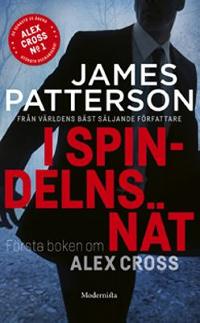 Omslagsbild för I spindelns nät