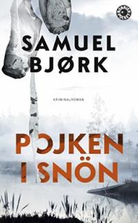 Omslagsbild för Pojken i snön