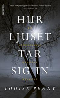 Omslagsbild för Hur ljuset tar sig in